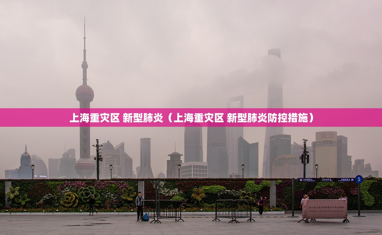 上海重灾区 新型肺炎（上海重灾区 新型肺炎防控措施）