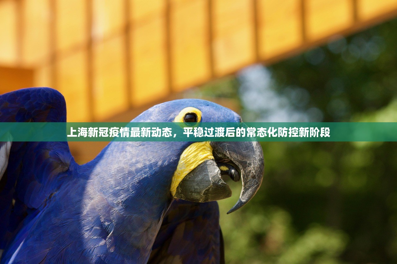 上海新冠疫情最新动态，平稳过渡后的常态化防控新阶段