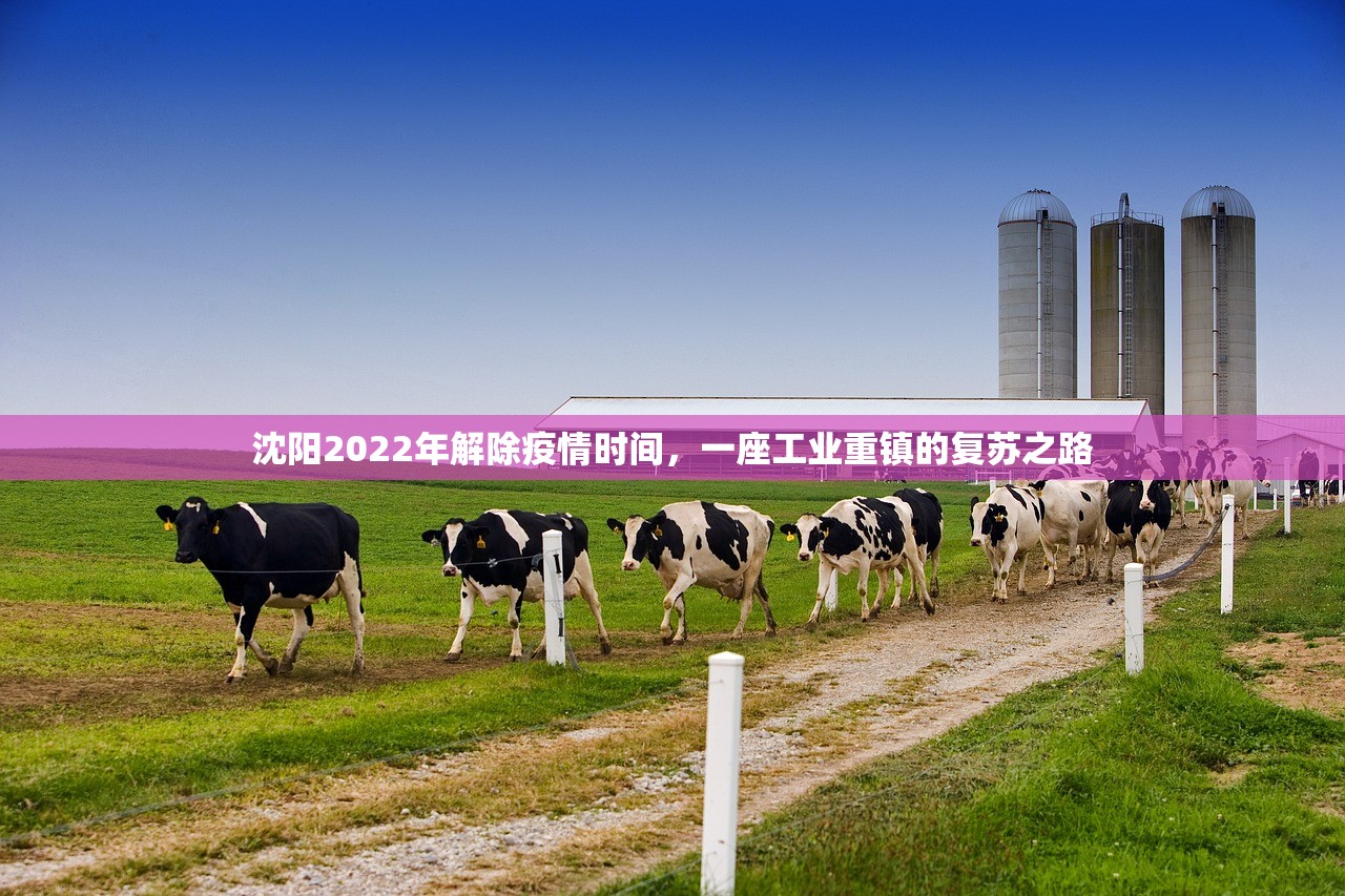 沈阳2022年解除疫情时间，一座工业重镇的复苏之路