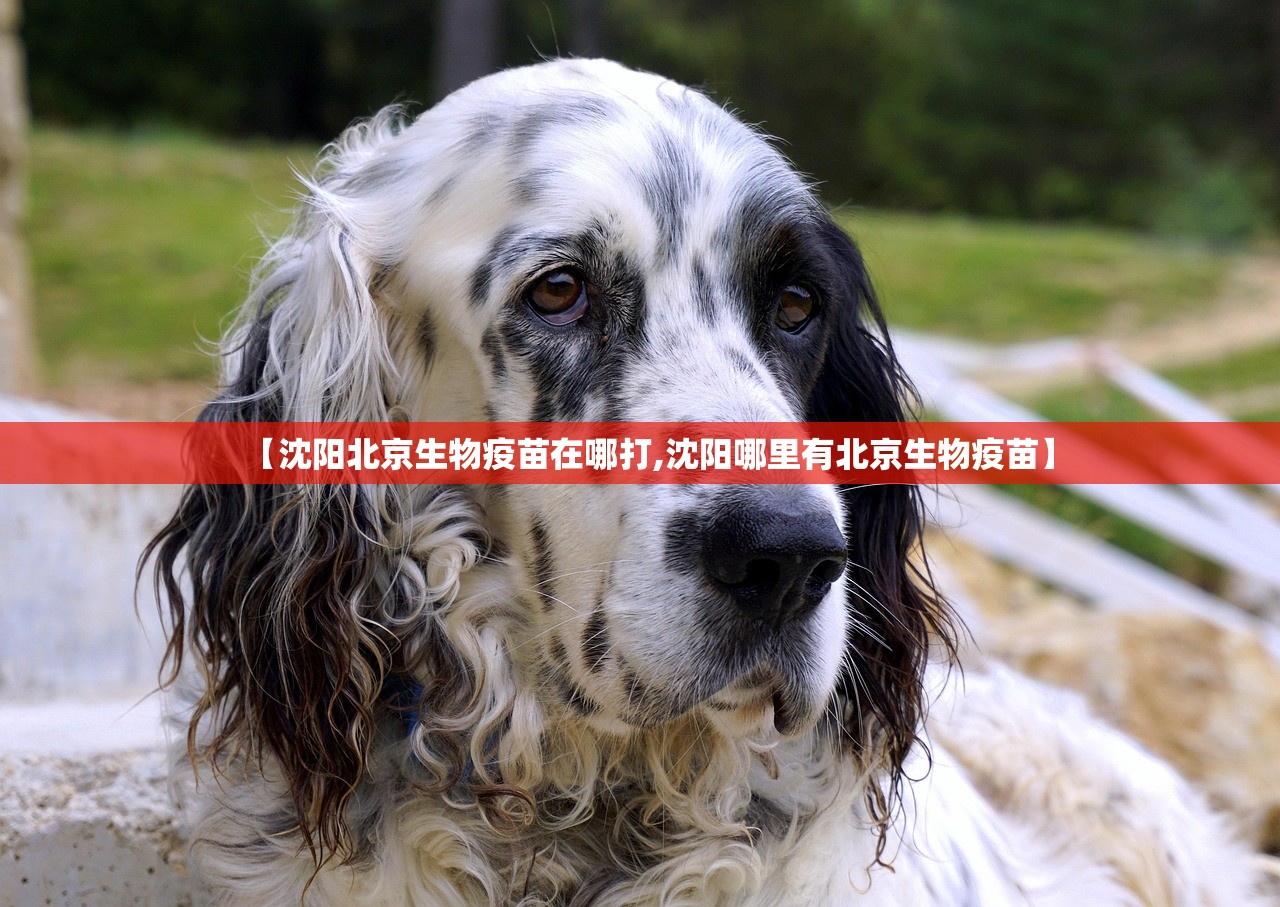 【沈阳北京生物疫苗在哪打,沈阳哪里有北京生物疫苗】