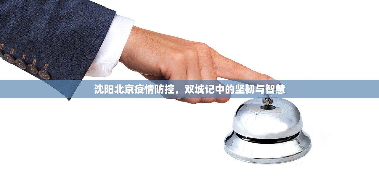 沈阳北京疫情防控，双城记中的坚韧与智慧
