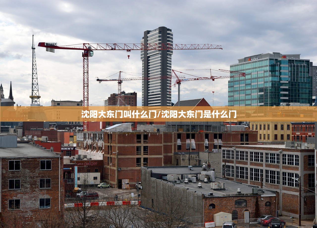 沈阳大东门叫什么门/沈阳大东门是什么门