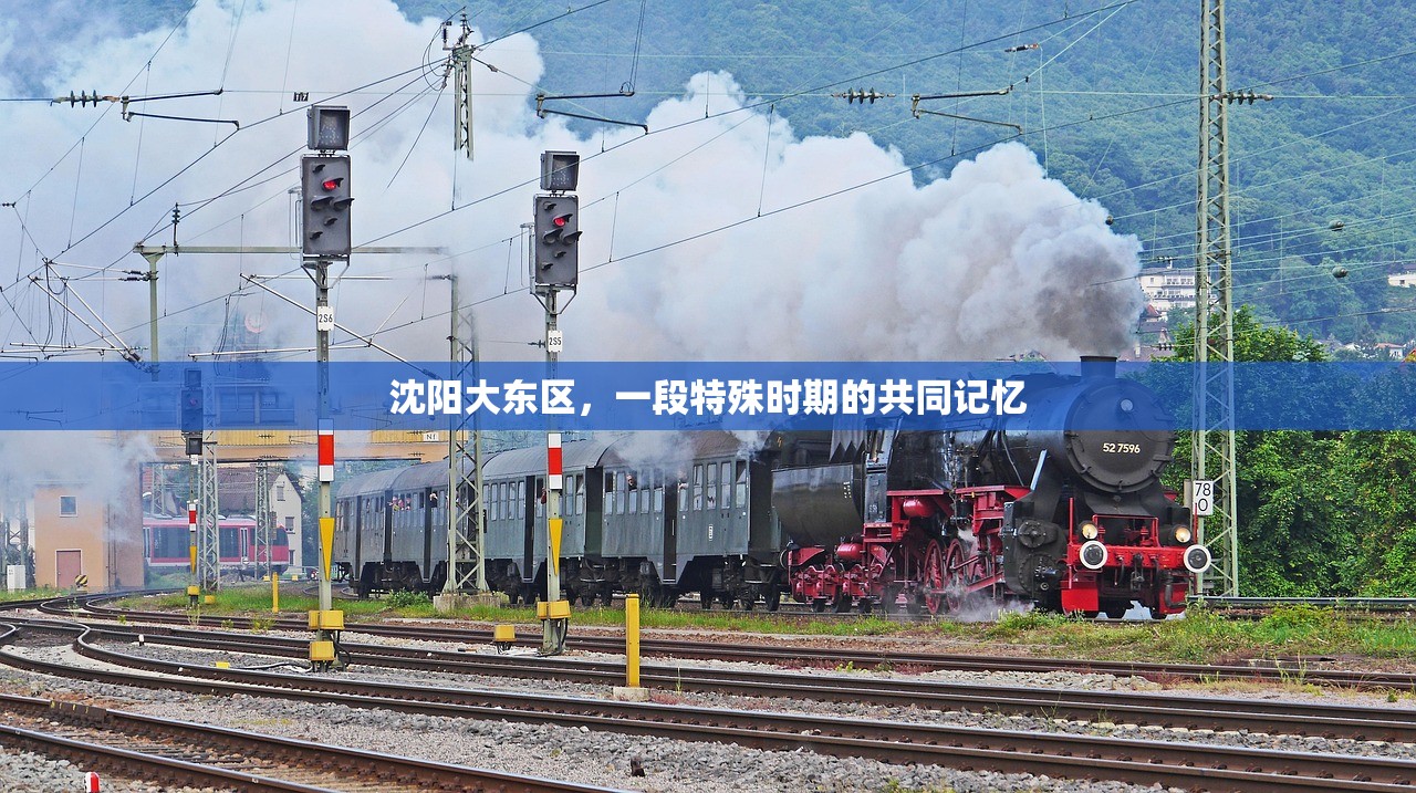 沈阳大东区，一段特殊时期的共同记忆