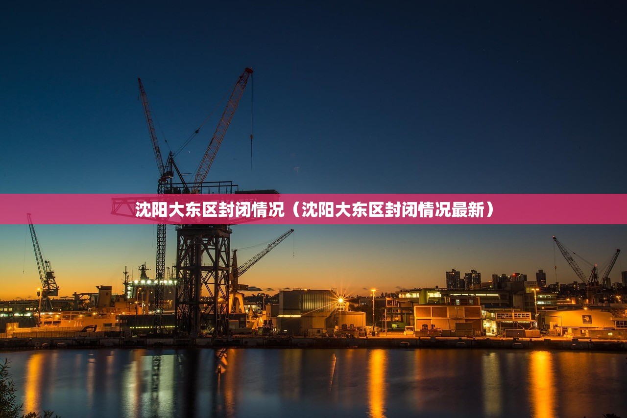 沈阳大东区封闭情况（沈阳大东区封闭情况最新）