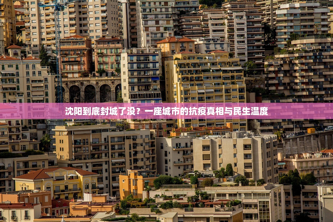 沈阳到底封城了没？一座城市的抗疫真相与民生温度