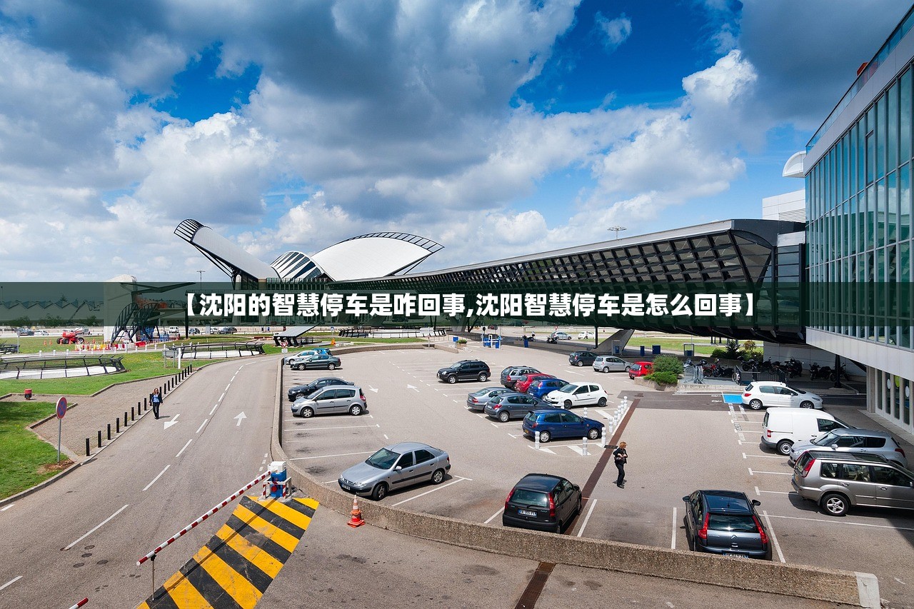 【沈阳的智慧停车是咋回事,沈阳智慧停车是怎么回事】