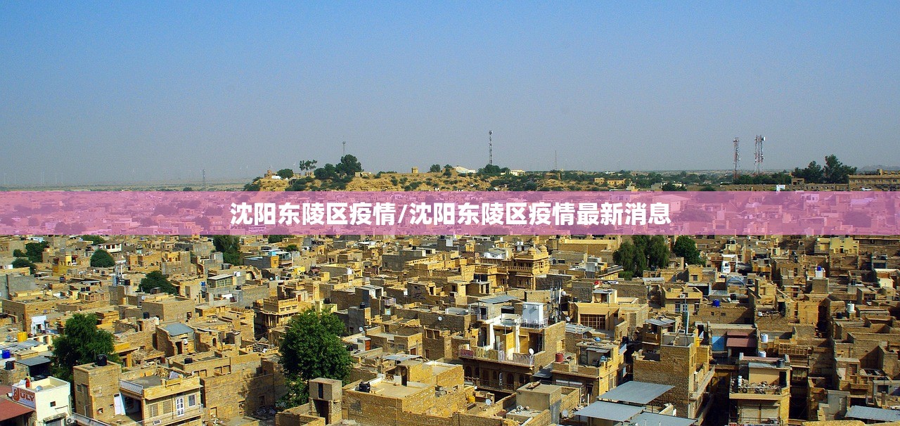 沈阳东陵区疫情/沈阳东陵区疫情最新消息