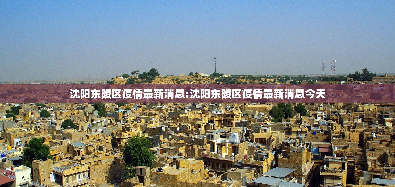沈阳东陵区疫情最新消息:沈阳东陵区疫情最新消息今天