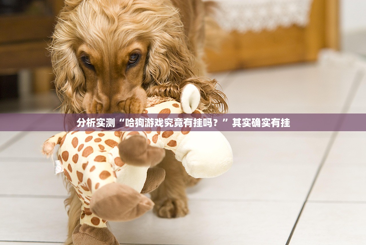 分析实测“哈狗游戏究竟有挂吗？”其实确实有挂