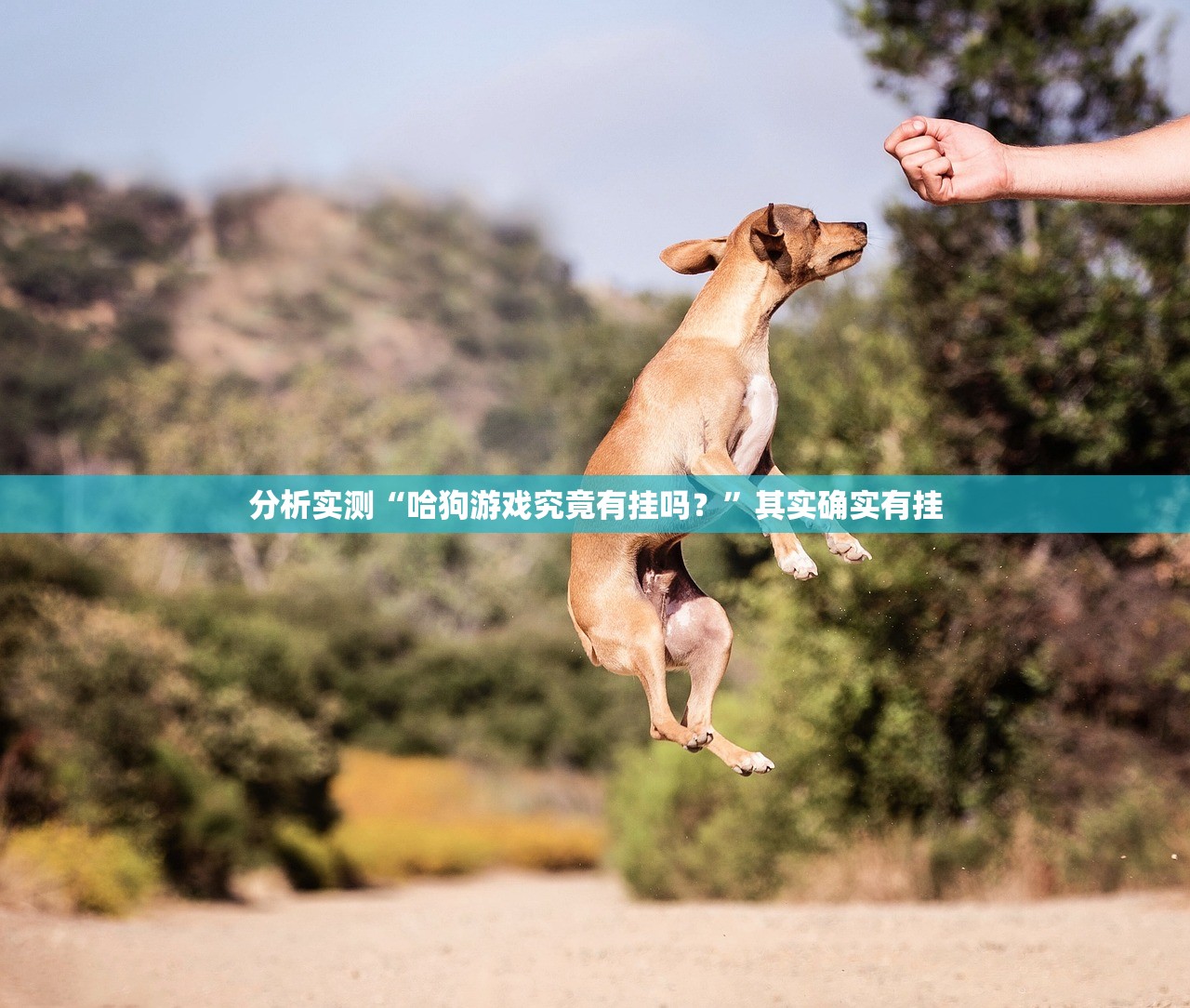 分析实测“哈狗游戏究竟有挂吗？”其实确实有挂