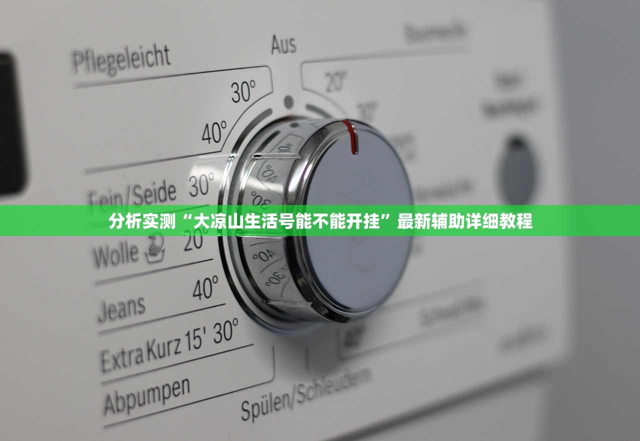 分析实测“大凉山生活号能不能开挂”最新辅助详细教程