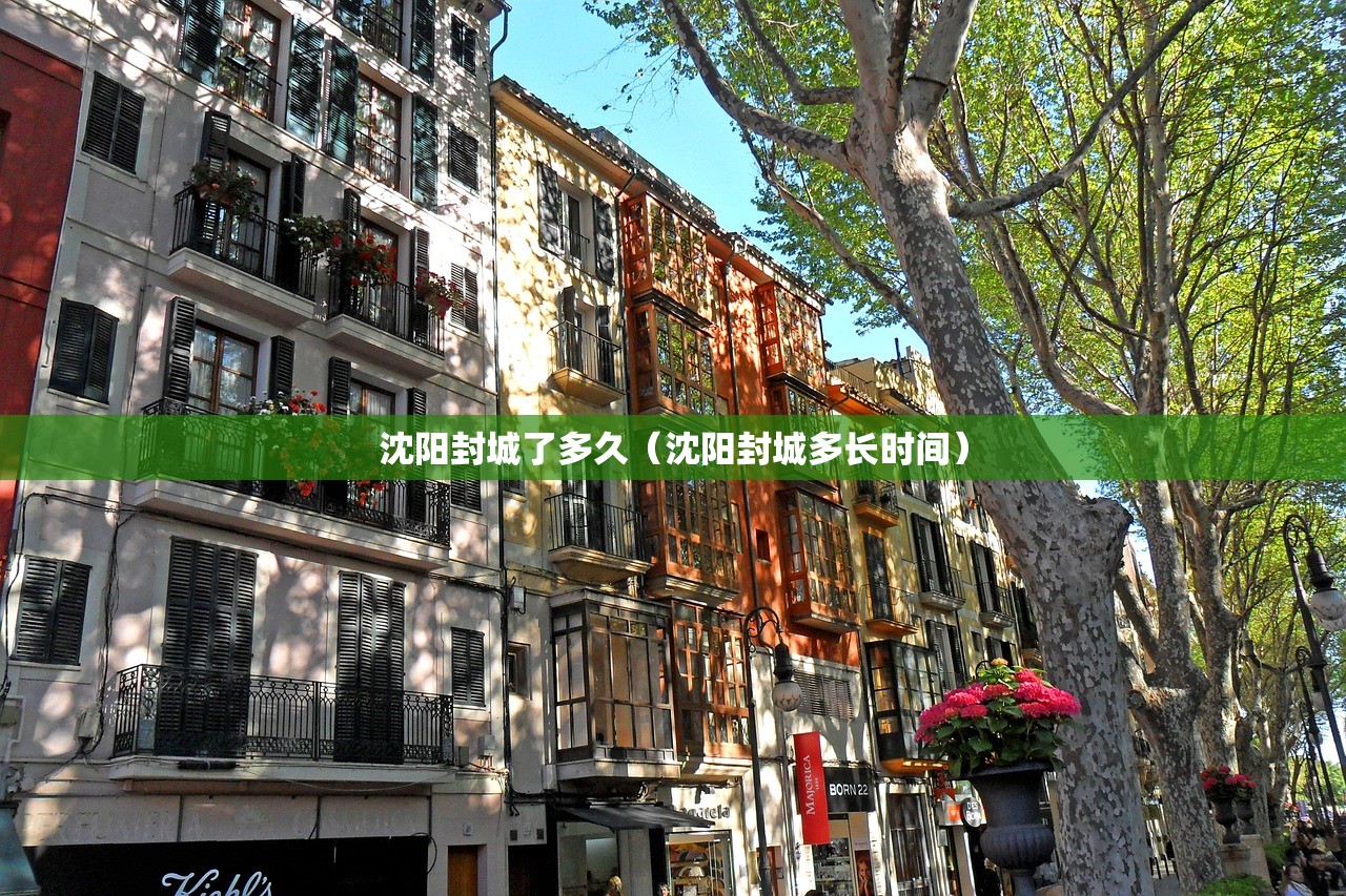 沈阳封城了多久（沈阳封城多长时间）