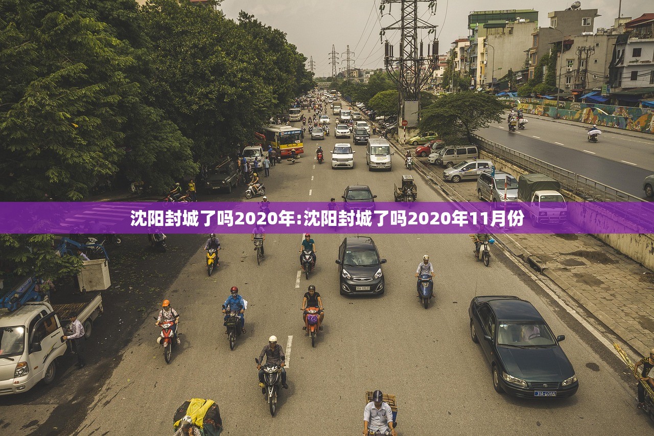 沈阳封城了吗2020年:沈阳封城了吗2020年11月份
