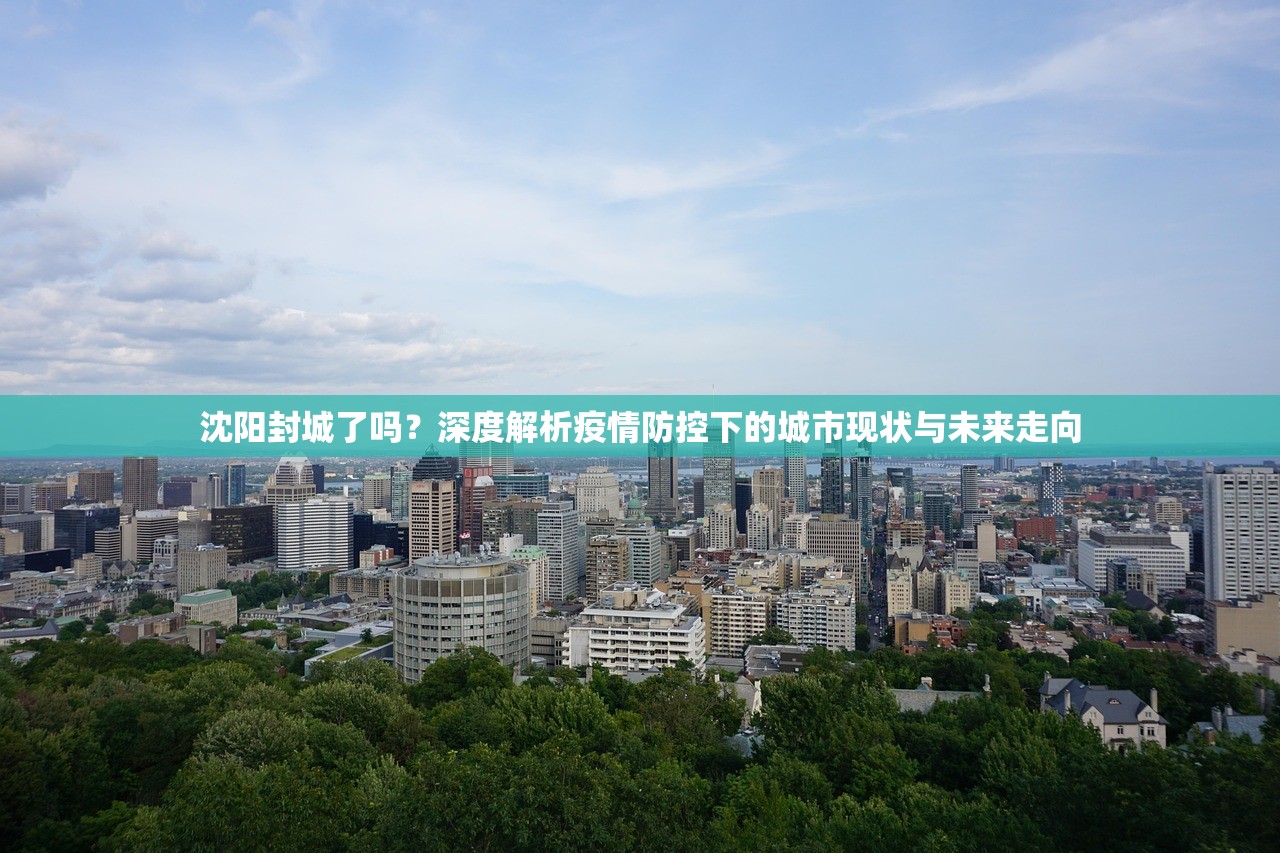 沈阳封城了吗？深度解析疫情防控下的城市现状与未来走向