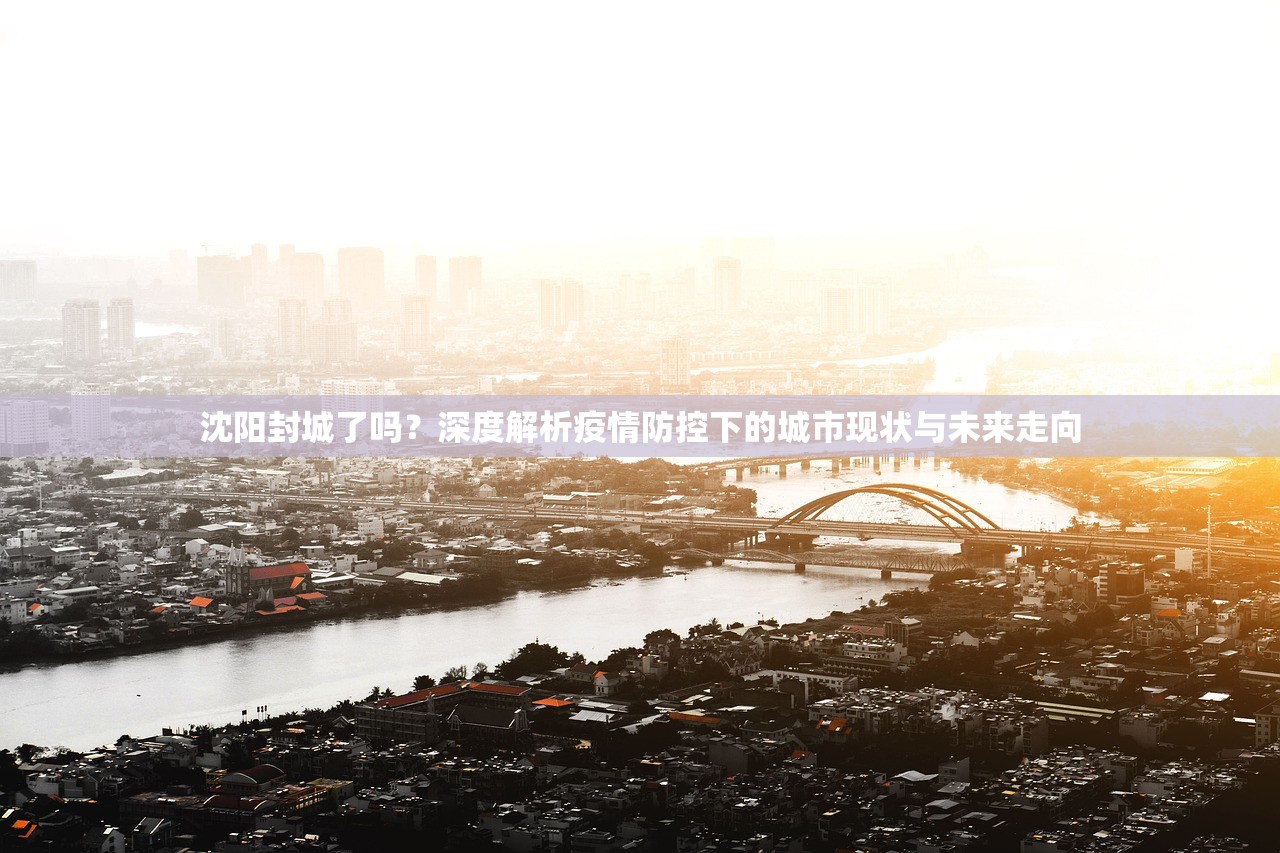 沈阳封城了吗？深度解析疫情防控下的城市现状与未来走向