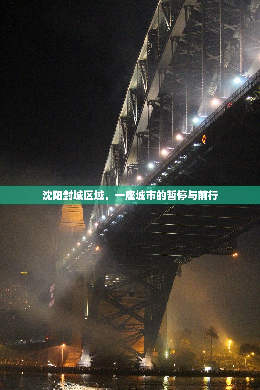 沈阳封城区域，一座城市的暂停与前行
