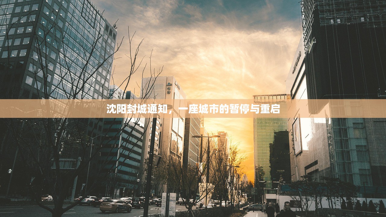 沈阳封城通知，一座城市的暂停与重启