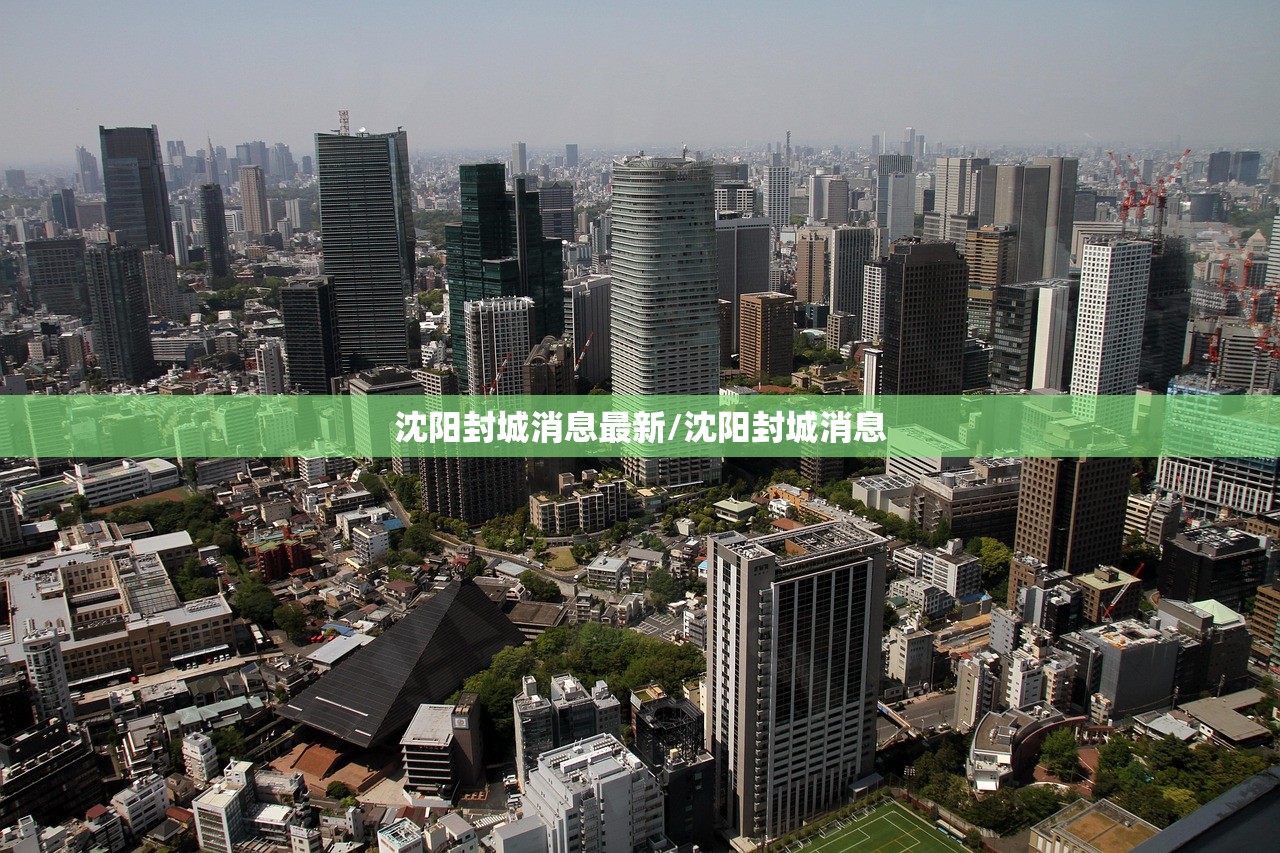 沈阳封城消息最新/沈阳封城消息