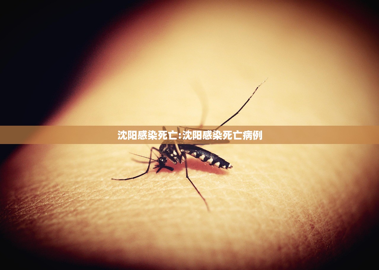 沈阳感染死亡:沈阳感染死亡病例
