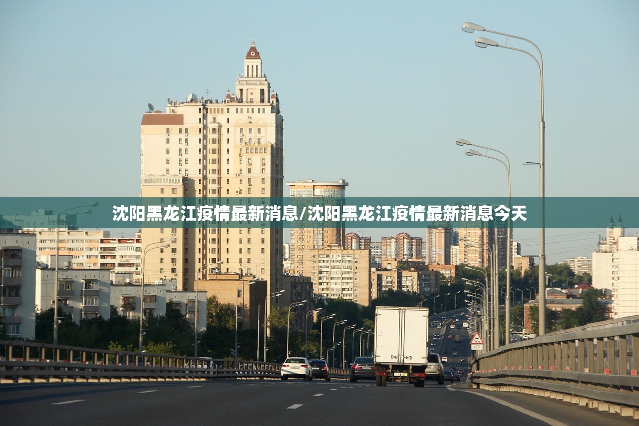 沈阳黑龙江疫情最新消息/沈阳黑龙江疫情最新消息今天