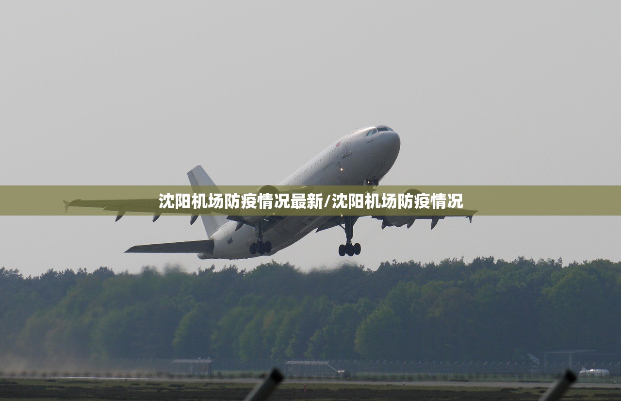 沈阳机场防疫情况最新/沈阳机场防疫情况