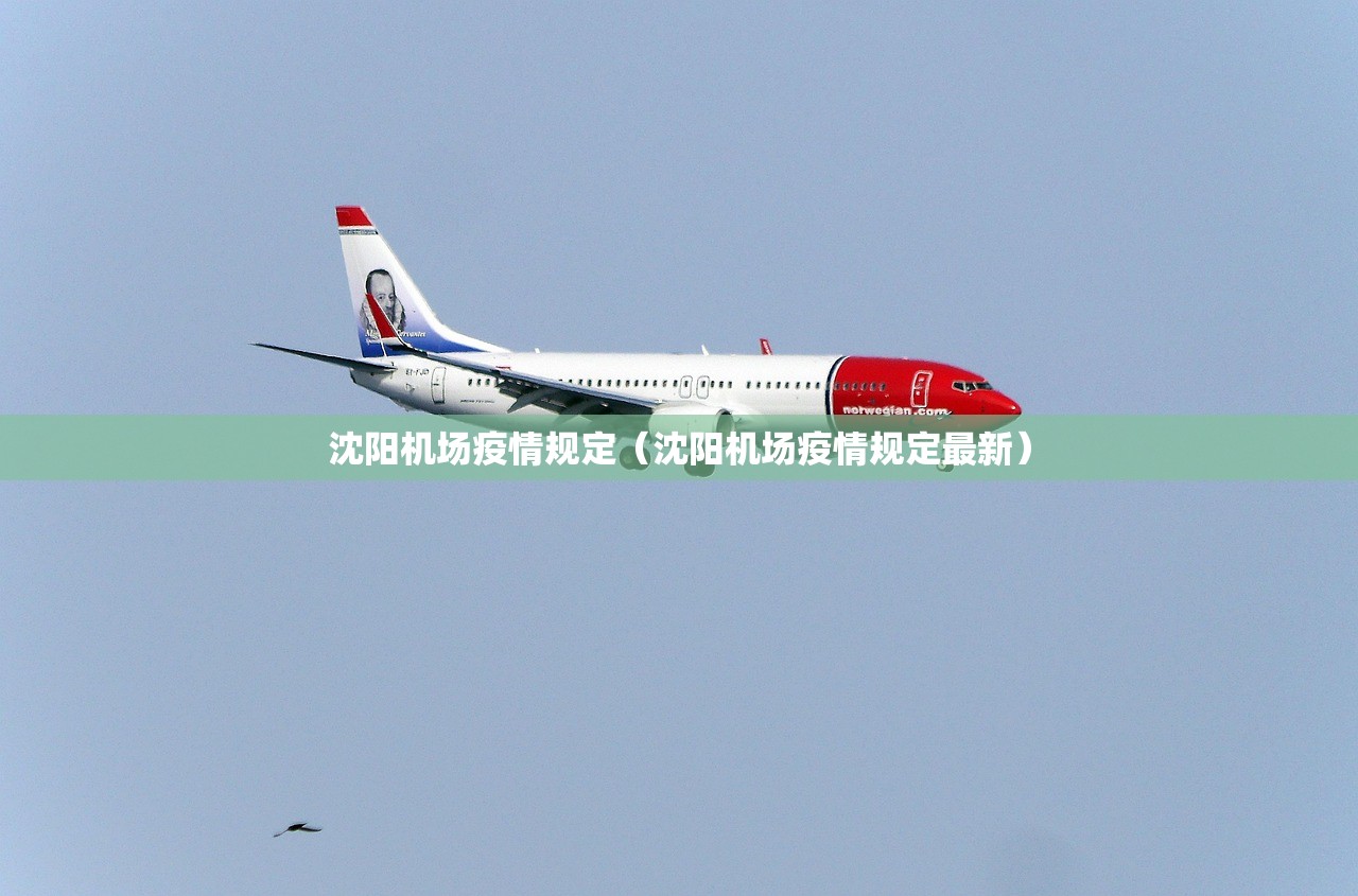 沈阳机场疫情规定（沈阳机场疫情规定最新）