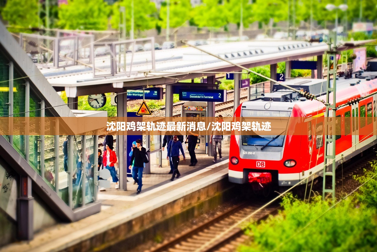 沈阳鸡架轨迹最新消息/沈阳鸡架轨迹