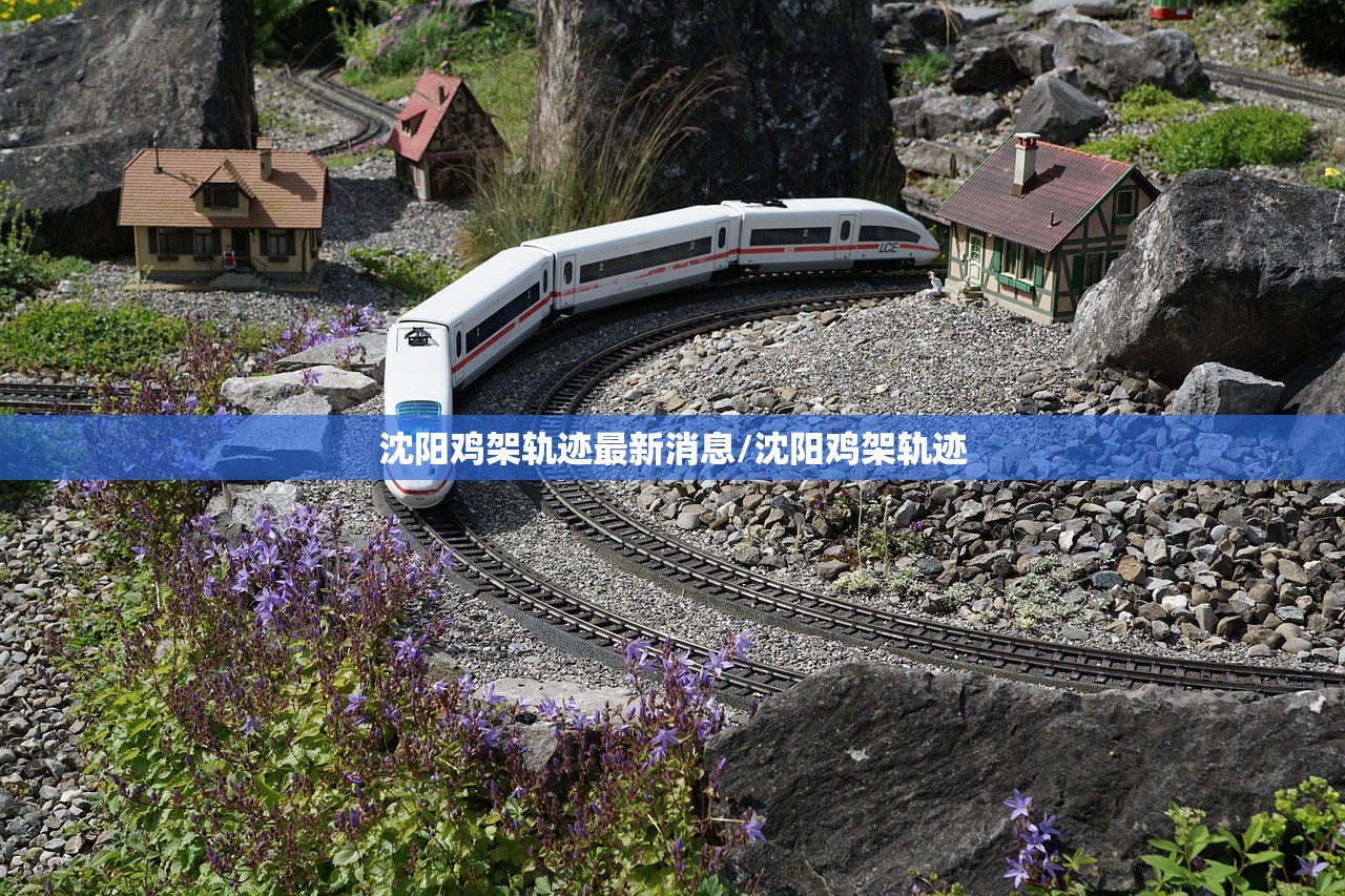 沈阳鸡架轨迹最新消息/沈阳鸡架轨迹