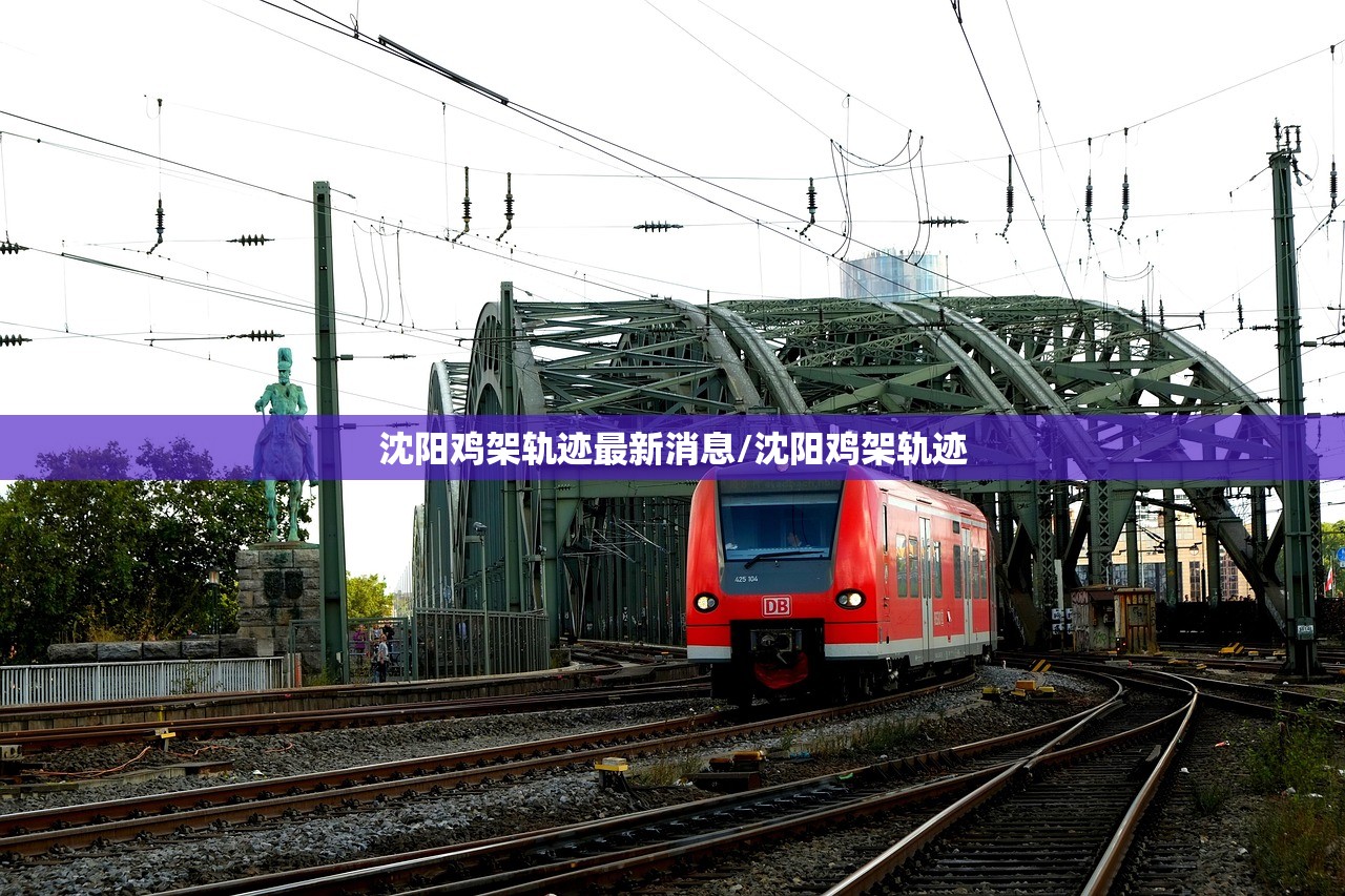 沈阳鸡架轨迹最新消息/沈阳鸡架轨迹