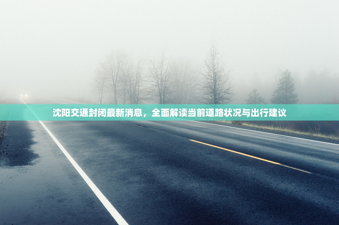 沈阳交通封闭最新消息，全面解读当前道路状况与出行建议