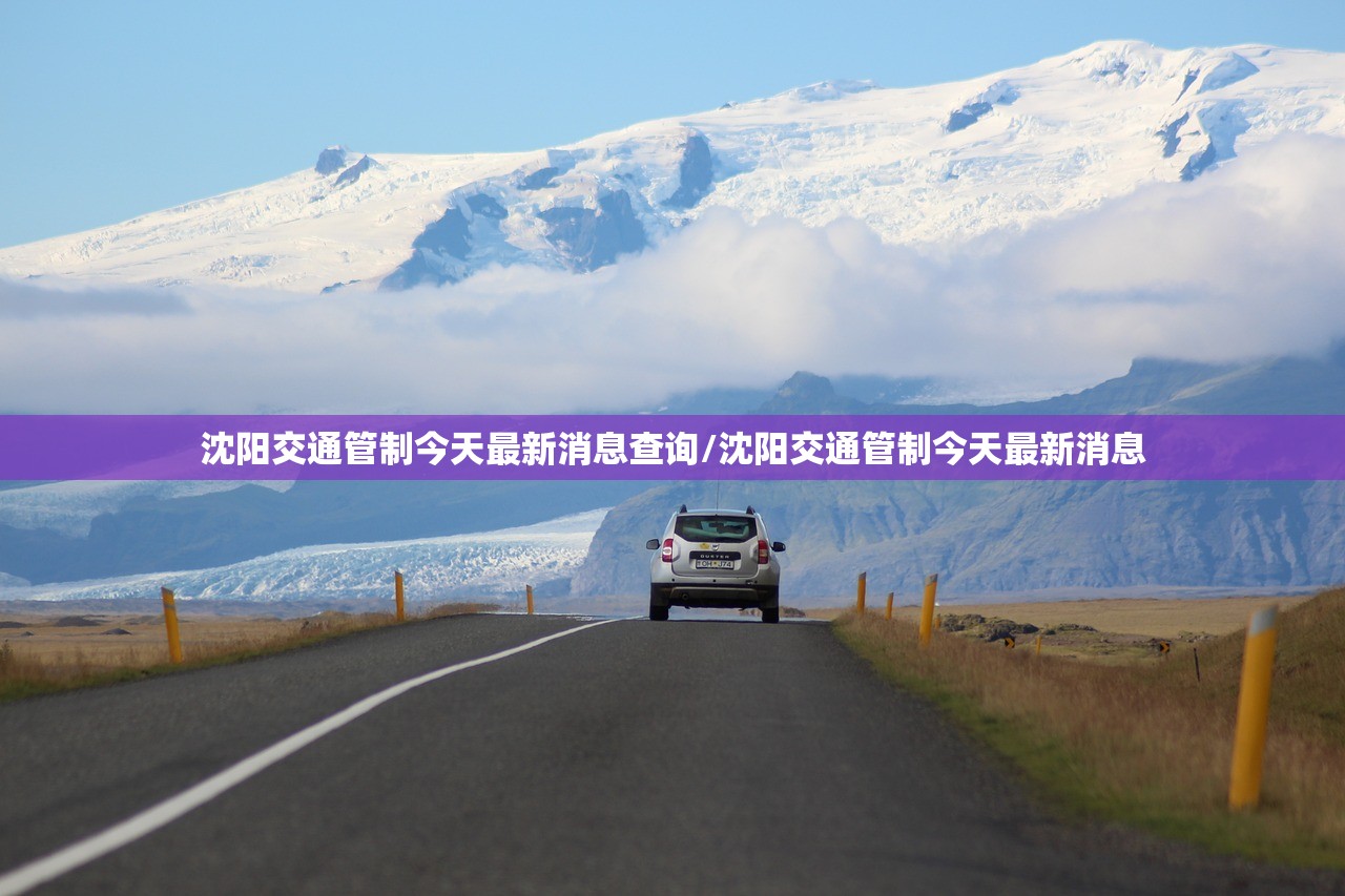 沈阳交通管制今天最新消息查询/沈阳交通管制今天最新消息