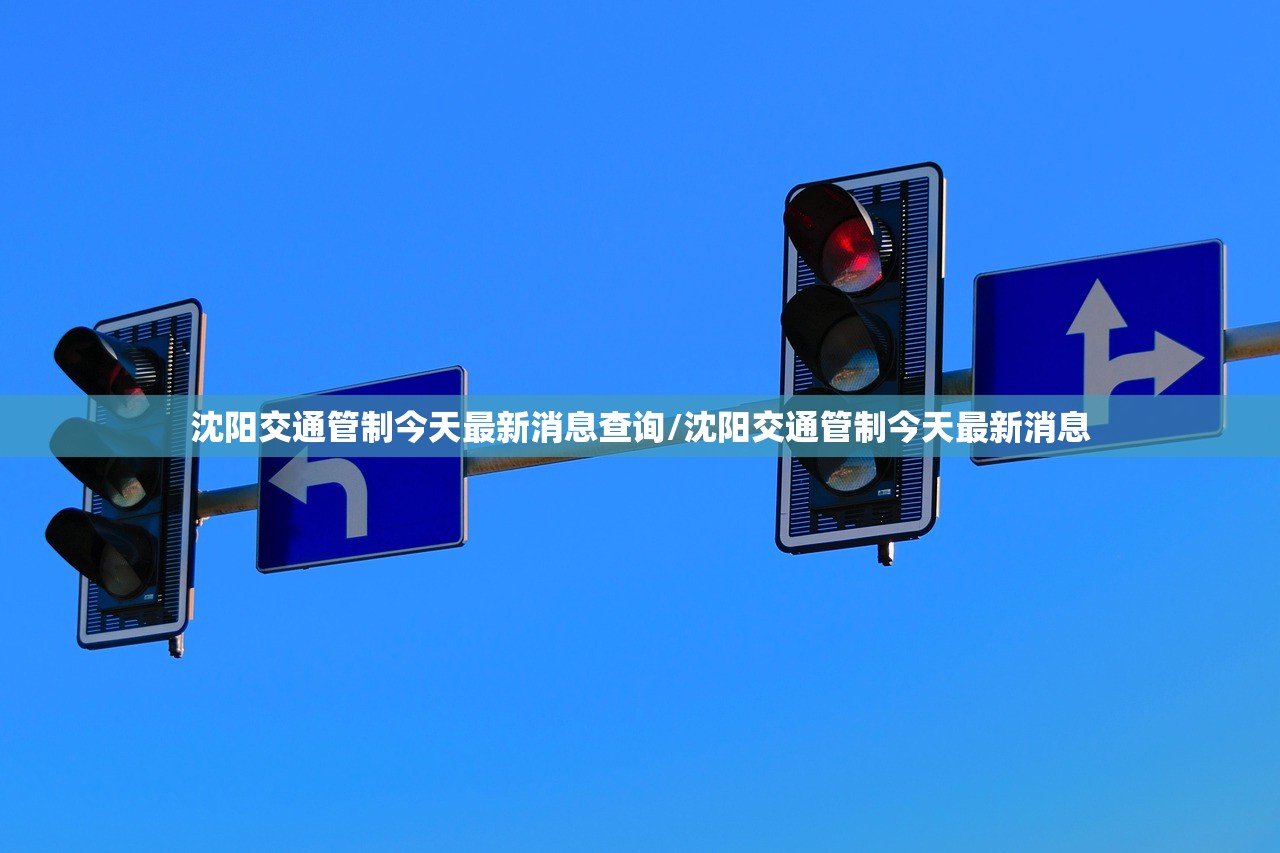 沈阳交通管制今天最新消息查询/沈阳交通管制今天最新消息