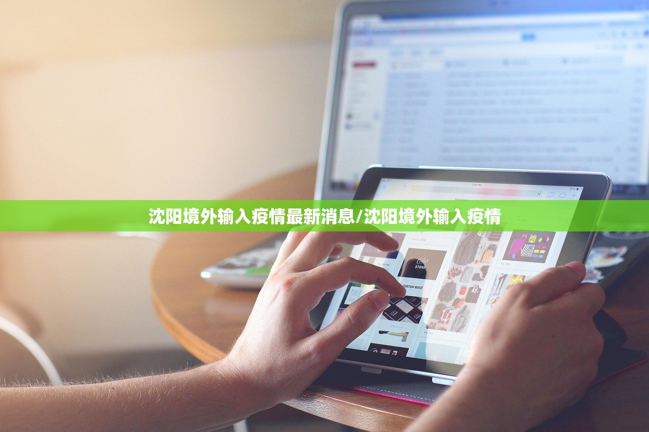 沈阳境外输入疫情最新消息/沈阳境外输入疫情